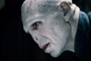 Avatar de Lord Voldemort