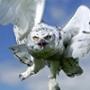 Avatar de Snowy Owl